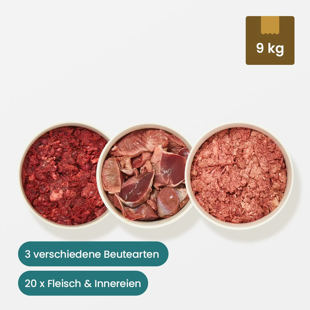 Vorschaubild 1