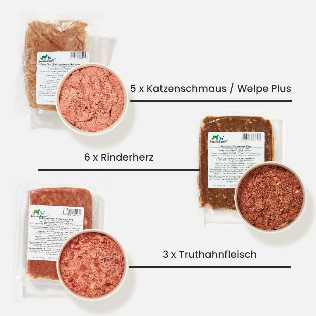Vorschaubild 2